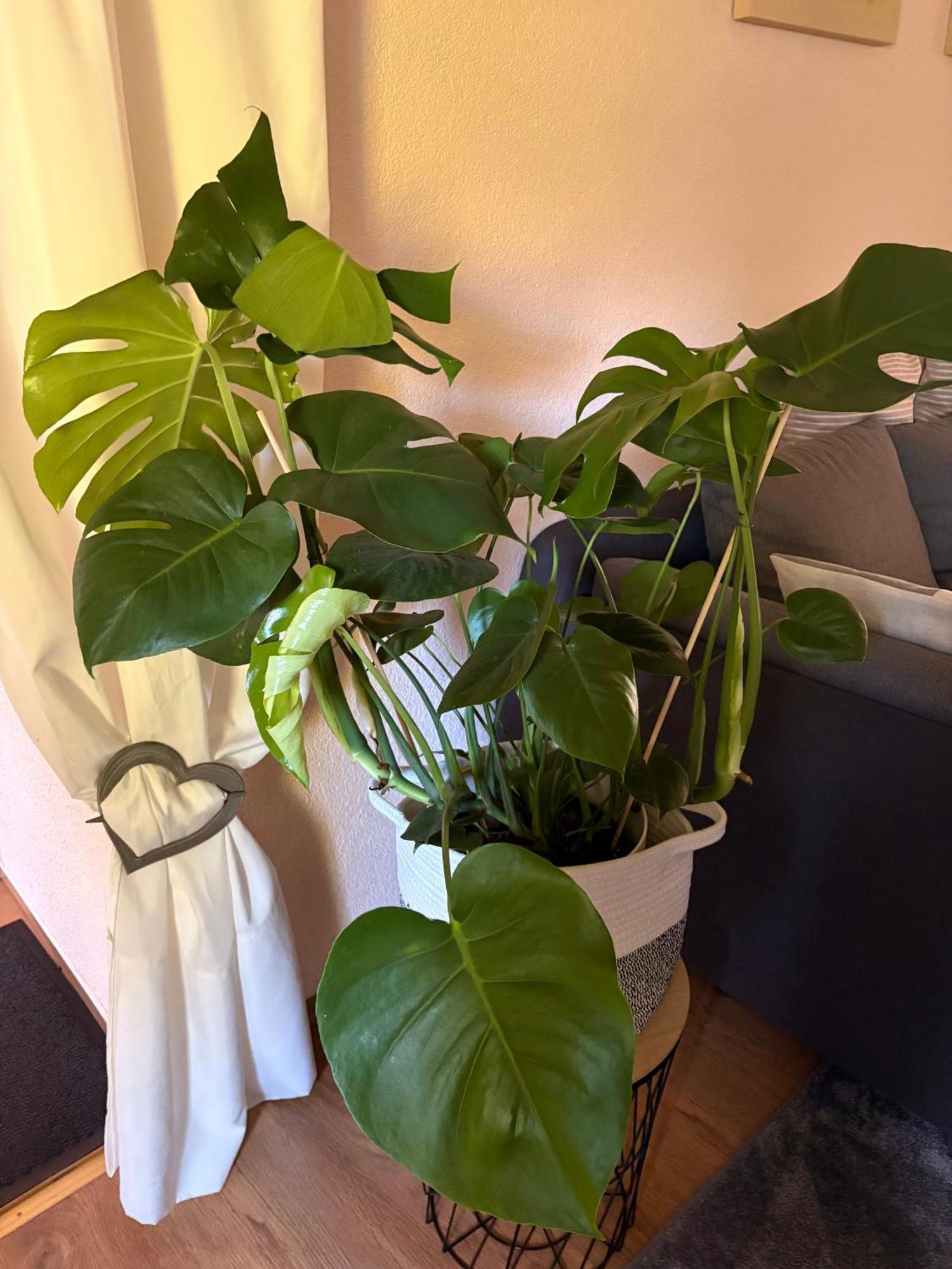 Apartment Dietze Machern Zewnętrze zdjęcie